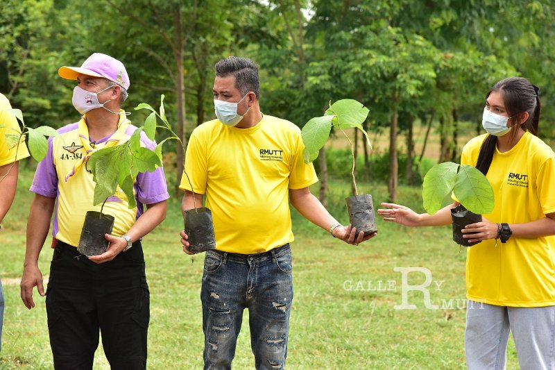 20210526-Tree planting dayt-120.JPG